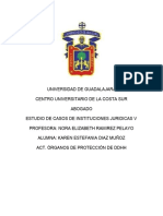 Act. Órganos de Protección de DDHH 2