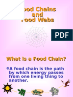 Food Chains and Food Webs