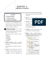 Chapter - 2: Nutrition in Animals