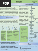 Poster - Gluconeogenesis (Horizontal)