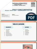 Blefaritis y Conjuntivitis. Equipo 9  