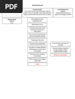 PATHOPHYSIOLOGY Acute Bronchitis