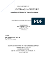 Sewage-Fed Aquaculture