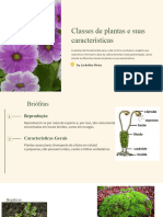 Classes de Plantas e Suas Caracteristicas