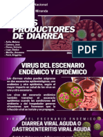 Presentacion Virus Diarreicos