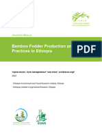 2022 Bamboo Fodder Production and Utilisation Practices in Ethiopia