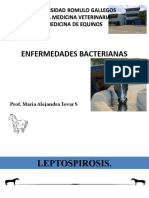 Clase 9 Leptospirosis y Botulismo