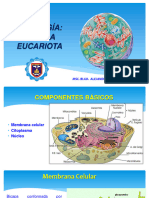 BIOLOGIA - Citologia EUCARIOTA