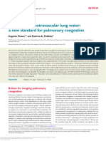 Ultrasound of Extravascular Lung Water: A New Standard For Pulmonary Congestion