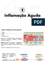 15 - Inflamação