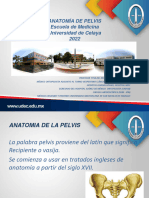 Anatomia de Pelvis y Miembro Inf 2022