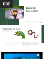 Relações Ecológicas