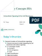 CP3 - Intracellular Signaling at The Cell Membrane