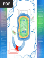 Illumina DNA Methylation Infographic ST9