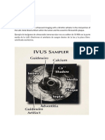 Guia Ivus