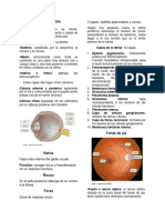 OFTALMOLOGÍA