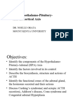 The Hypothalamo-Pituitary-Adrenocortical Axis: Dr. Noelle Orata Mount Kenya University