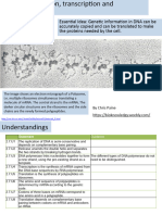 2.7 DNA Replication, Transcription, and Translation