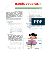 Ficha Organologia Vegetal 2