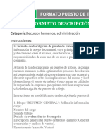 27-02-24 Formato de Funciones de Los Puestos Plan de Negocios