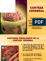 Clase10-Corteza Cerebral Funciones Intelectuales Aprendizaje