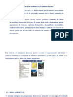 Los Principales Problemas en El Ambiente Humano