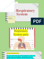 The Respiratory System