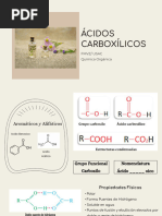 Examen Final Química Orgánica