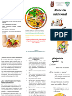 Triptico Nutricion