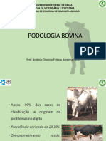 Podologia Bovina - Cirurgia de Grandes Animais - Residência