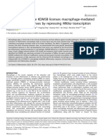 KDM5B Macrophage