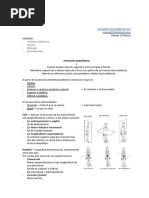 Anatomia