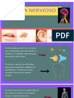 Sistema Nervioso RESUMEN