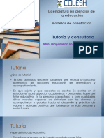 Tutoria y Consultoria