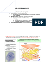 Biologia Tema 5. Citoesqueleto