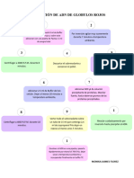 Diagrama de Flujo EXTRACION ADN