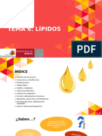 Tema6 Lipidos