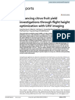 Enhancing Citrus Fruit Yield Investigations Through Flight Height Optimization With UAV Imaging