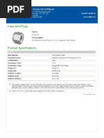 SS-810-P 0.5in SS Pipe Plug