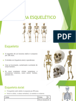 Sistema Esquelético