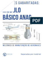 Novo Módulo Básico ANAC MMA 2 Edição