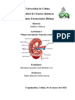 CRMA Funcion Renal