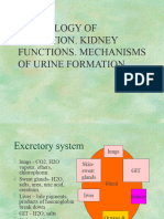 3.3 Kidney