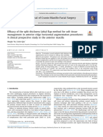 Yu 그리고 Qiu - 2018 - Efficacy of the split-thickness labial flap method