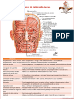 Musculos Da Mimica Facial