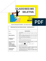 Simulado 1 SED 2023 PDF (1) - Carlos Magno Mieres