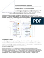 Resumen Tema 6