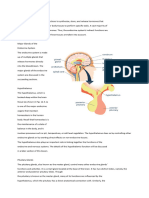 General Endocrine Functions