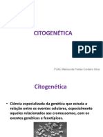 Citogenética - Fam2