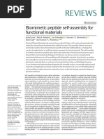 2020 - Biomimetic Peptide Self Assembly For Functional Materials